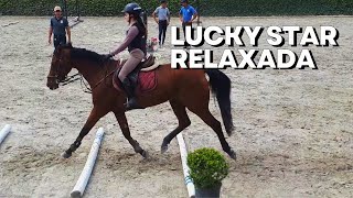 VOICEOVER RELAXANDO COM LUCKY STAR  Treino de Hipismo [upl. by Stanfield964]