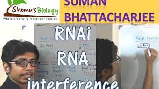 RNAi mechanism  RNA interference pathway using siRNA and shRNA [upl. by Olivier408]