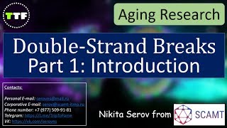 Part 1 DoubleStrand Breaks amp Aging Introduction Aging Research [upl. by Jill]