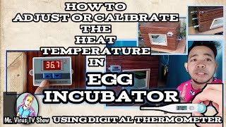 How to Adjust or Calibrate the Heat temperature in Incubator Using Digital Thermostat [upl. by Molloy]