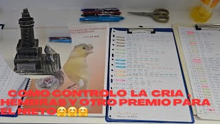 CONTROL DE LA CRIA Y HEMBRAS Y GRAN DIA DE ENTREGA DE PREMIOS [upl. by Rebhun]