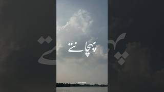 Pehchante hi nahi ab log tanha mujhe 💔💫• Aesthetic Video • Urdu Lyrics status •shortshasibangaye [upl. by Akemot]