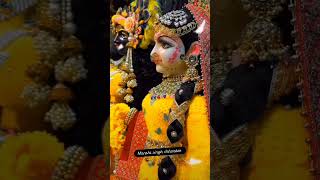 Krishnam tedha Medha sidha Naam Radhe [upl. by Dekow89]