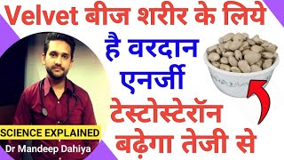 Kapikacchu Velvet beans benefits uses and side effects कौंच बीज के फायदे इस्तमाल खाने का तरीका [upl. by Duffie888]