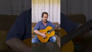 Yerevan Erebuni Guitar Solo Cover [upl. by Patin214]