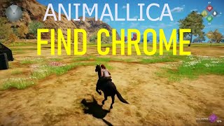 ANIMALLICA FIND CHROME [upl. by Eusadnilem]