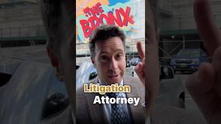 What is a litigation lawyer ⚖️🤷🏻 [upl. by Rednal]