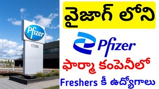 Pfizer Pharma Latest Jobs For Freshers  Vizag Jobs Today  Vizag Jobs Latest  Vizag Jo Vacancy [upl. by Iahk]