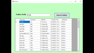 Programming in Visual BasicNET Display files from selected folder into datagridview in VB NET [upl. by Bowers80]