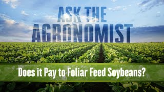 Ask the Agronomist Does It Pay to Foliar Feed Soybeans [upl. by Market584]