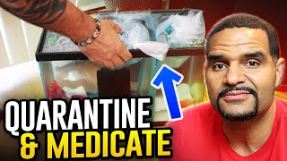 Quarantine Your Fish  Why How and When To Medicate [upl. by Pia587]