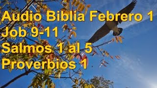 Audio Biblia Febrero 1 Job 9 al 11 Salmos 1 al 5 Proverbios 1 [upl. by Merdith]