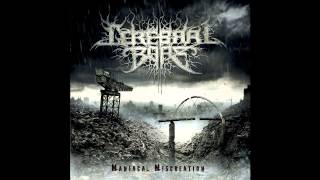 Cerebral Bore  Flesh Reflects The Madness Official Audio [upl. by Sadira]