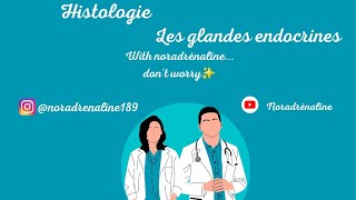 les glandes endocrines histologie première année medecine et medecine dentaire [upl. by Evelc794]