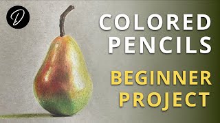 COLOURED PENCILS  Lesson amp Project for Beginners [upl. by Nanah]