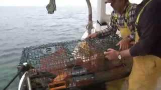 Lobster catching and cooking in New England [upl. by Finley972]