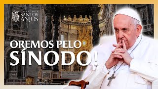 Oração pelo sínodo dos Bispos sinodo2023 papafrancisco igrejacatólica [upl. by Malek]