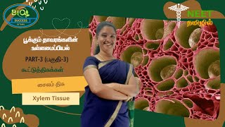 Anatomy of Flowering Plants  Part 3  Complex Tissue  Xylem Tissue  NEET Tamil [upl. by Ecital413]