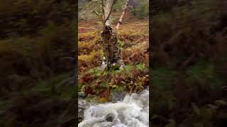 Stunning hike up to the priests hole at dove crag in the Lake District very peaceful overnighter [upl. by Flemings]