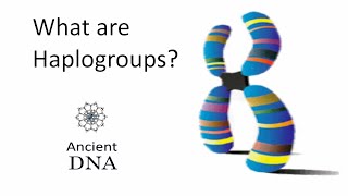 What are Haplogroups [upl. by Nyleak]