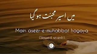 Main Aseer e Mohabbat Ho GayaAdnan Dhool  Lyrics  Lofi slowreverb  Zid Ost  Soch The Band [upl. by Alor48]