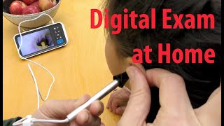 Digital Otoscope for ENT Exam at Home and For TeleMedicine [upl. by Kos508]