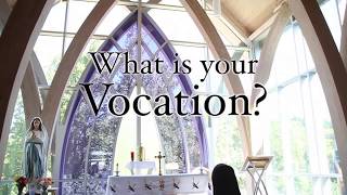 What is my vocation [upl. by Cacilia]