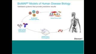 Enabling Development of Cancer Immunotherapy Drugs – From Discovery to Combination Strategies [upl. by De]