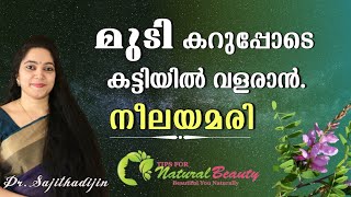 Indigo powder usesനീലമരി മുടിസ്‌സംരക്ഷണത്തിനുAyurveda DoctorAyurcharya [upl. by Bary]