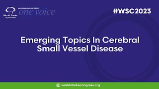 WSC 2023  Emerging Topics In Cerebral Small Vessel Disease [upl. by Evoy]