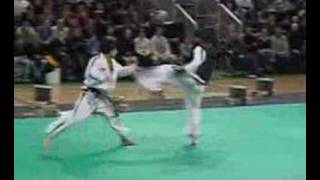 ITF Taekwondo Demonstrations [upl. by Vivianna]