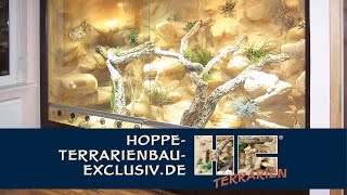 Terrarienkauf Tipps und Anregungen für ein Wüstenterrarium [upl. by Latsirc339]