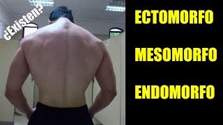 SOMATOTIPOS ¿En Verdad Existen Examinando al Endomorfo Mesomorfo y Ectomorfo PODCAST Ep3 [upl. by Roer]