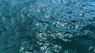 1 Minute of Beautiful Ocean Waves Relaxing Sea Ambience [upl. by Lorelie954]