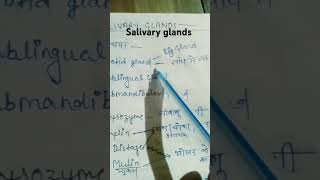 Salivary glands 💯💯biology glandsscience ytshorts viralvideo [upl. by Naejarual]