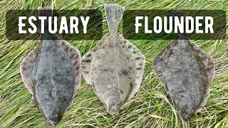 Is this the best flounder estuary in Britain Flounder on the Loughor [upl. by Jdavie761]