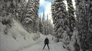 Skiing on Elk Pass [upl. by Eirot943]