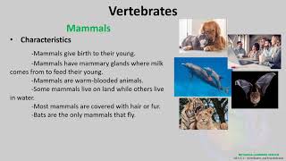 Science 6 W182  Vertebrates and Invertebrates [upl. by Rednaxela]