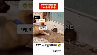 CET Vs पशु परिचर exam taiyari Rajasthan 🤣😂 CET exam 2024 cetexam2024 cet cetexam cet2024shorts [upl. by Ephraim]