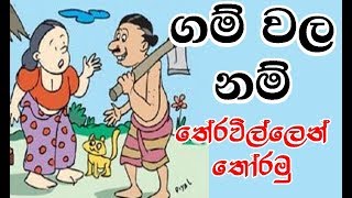 ගම් වල නම් තේරවිලි වලින් තෝරමු  Sinhala Thun Theravili Volume 7 [upl. by Lakim195]