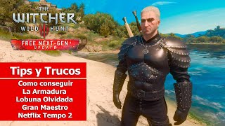 The Witcher III  Tips y Trucos  Como conseguir La Armadura Lobuna Olvidada Gran Maestro  Netflix [upl. by Aicatsue]