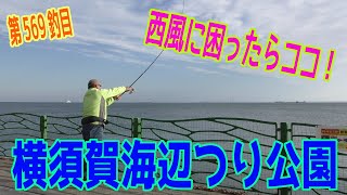 釣り動画ロマンを求めて 569釣目（横須賀海辺つり公園） [upl. by Clint]