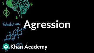 Aggression  Individuals and Society  MCAT  Khan Academy [upl. by Titania]