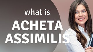 Acheta assimilis  meaning of ACHETA ASSIMILIS [upl. by Gretel226]