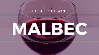 What is MALBEC  What you need to know about this popular grape [upl. by Vivien]