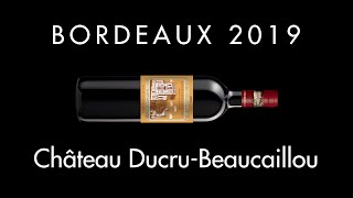 Bordeaux 2019  DucruBeaucaillou Saint Julien [upl. by Enyamrahc]