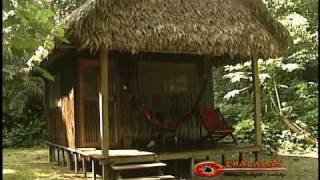 Chalalan Ecolodge  Madidi National Park [upl. by Ambros]