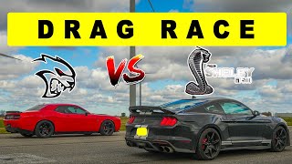 2022 Ford Shelby GT500 vs Dodge Challenger Hellcat there is only one winner Drag and Roll Race [upl. by Fitzger]