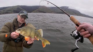 This Lake Has HUGE Redfin Perch Crazy Double Hookups New Zealand [upl. by Asilat]