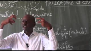 Philosophie et Science par M Elhadj Songué Diouf leçon 2 [upl. by Cofsky505]